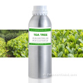 Label pribadi 100% minyak esensial pohon teh murni massal